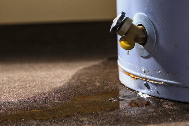 Best 24/7 water damage repair  in Bothell West, WA