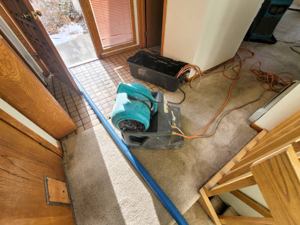 Best Emergency water extraction  in Bothell West, WA