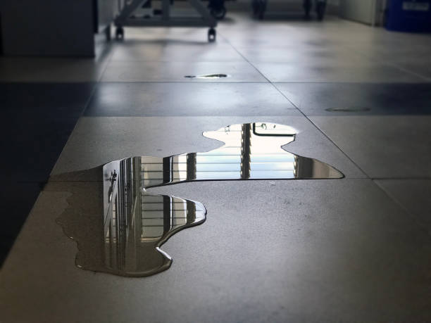 Best Sewage cleanup and water damage restoration  in Bothell West, WA