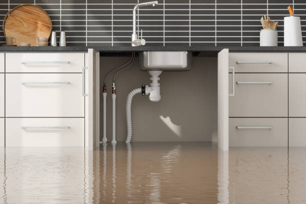 Best Professional water damage repair  in Bothell West, WA