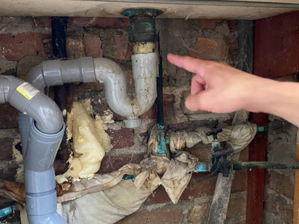 Best Local water damage restoration  in Bothell West, WA
