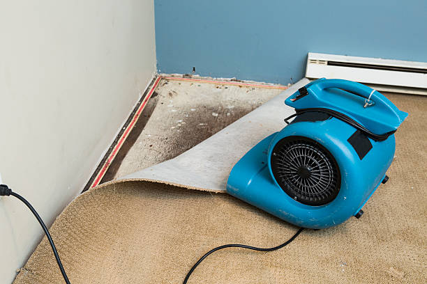 Best Flood restoration services  in Bothell West, WA